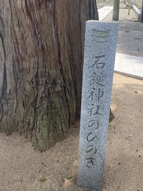 石鎚神社のひのき写真1