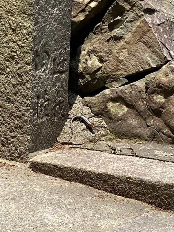 石鎚神社参拝写真3